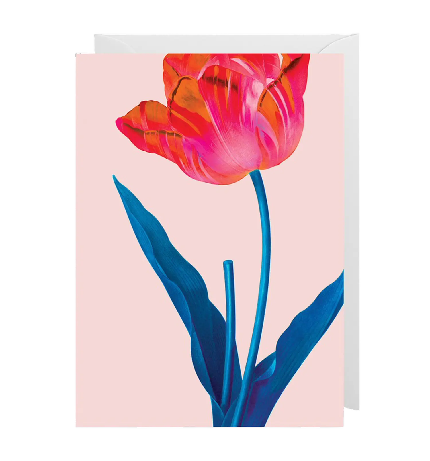 - Grußkarte – Tulip - mit Kuvert