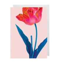 - Grußkarte – Tulip - mit Kuvert
