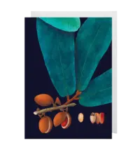 - Grußkarte – Nutmeg - mit Kuvert