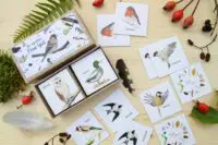 BRIGITTE BALDRIAN - Memo-Spiel “Vogelwelt” - 24 handgemalte Kartenpaare