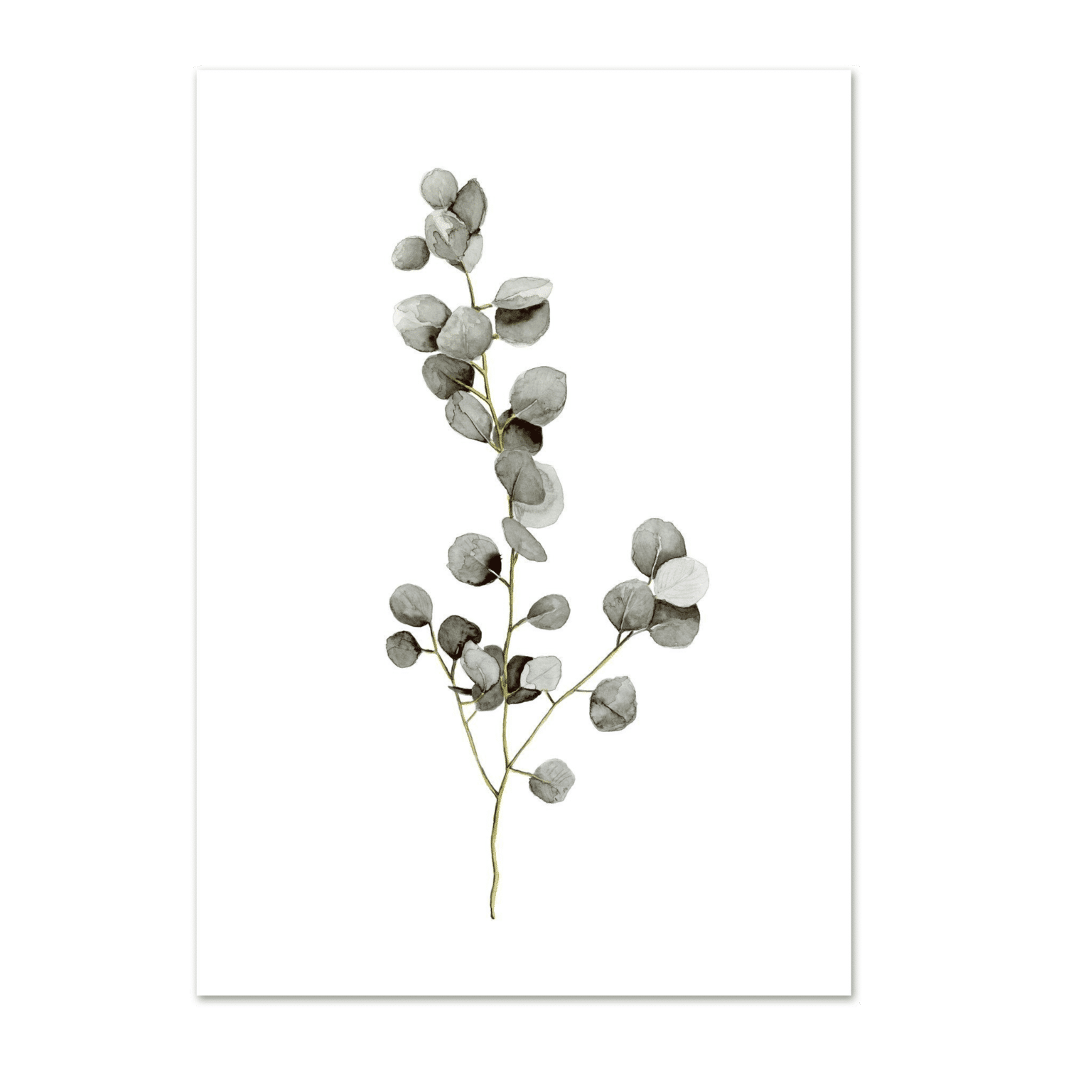 LEO LA DOUCE - Kunstdruck – Eucalyptus