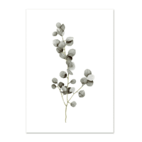 LEO LA DOUCE - Kunstdruck – Eucalyptus