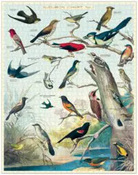 - Vögel – Vintage Puzzle - 1000 Teile