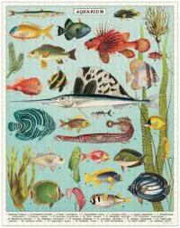 - Fisch – Vintage Puzzle - 1000 Teile