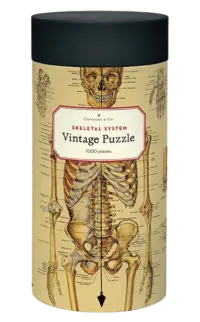 - Anatomie – Vintage Puzzle - 1000 Teile