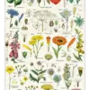 - Wildblume – Vintage Tea Towel - 100% Baumwolle