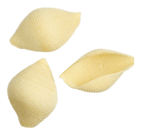 FAELLA - Conchiglioni - Nudeln aus Hartweizengrieß