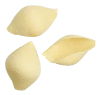 FAELLA - Conchiglioni - Nudeln aus Hartweizengrieß